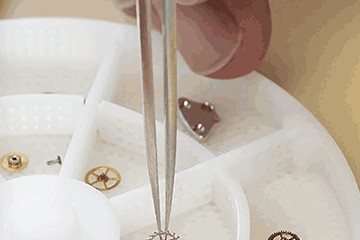 广州劳力士去哪里维修呢